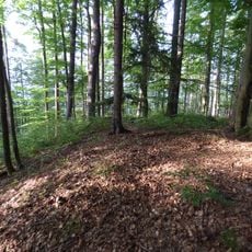 Wallanlage Sechzigerberg