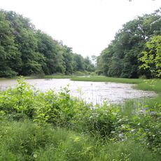 Naturschutzgebiet Sickler Teich bei Londorf