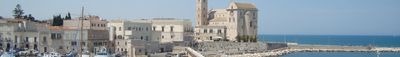 Panoramic View 0