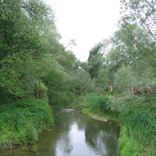 Seefelder Aachmündung
