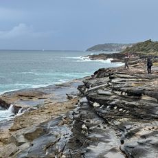Brian Green Lookout