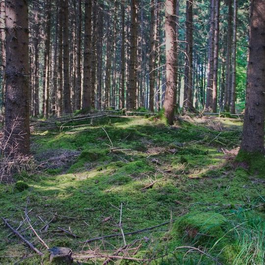 Field monument in Waal