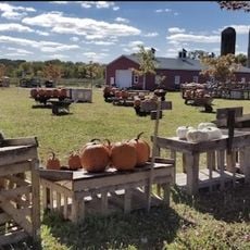 Woody's Orchard