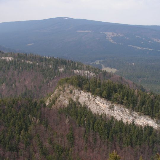 Skorušina