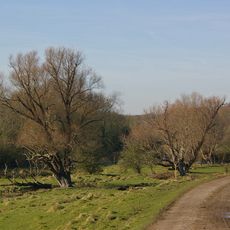 Lympne Escarpment
