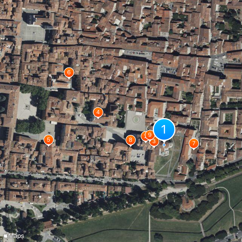 Monumento funebre a Ilaria del Carretto Mappa