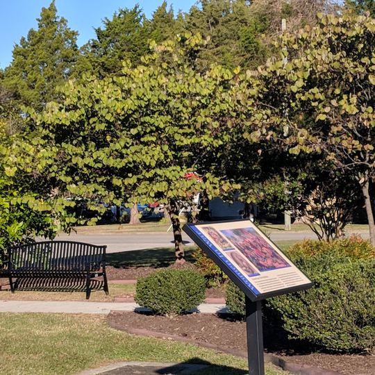 United States Army Women's Museum