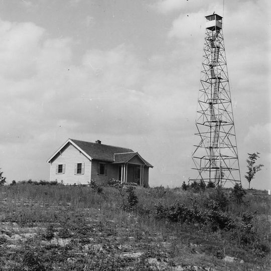 Honey School Lookout Tower