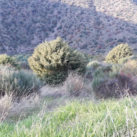 Mirador del Cachón de Camaces
