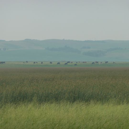 Municipal District of Provost No. 52