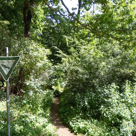 Mascheroder- und Rautheimer Holz