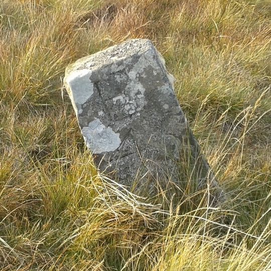 Boundary Stone Next To Fence Circa 30 Feet From Road