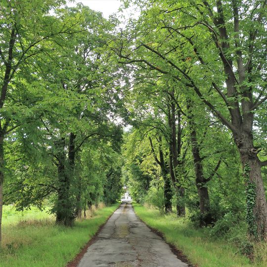 Allee Gut Schönfeld