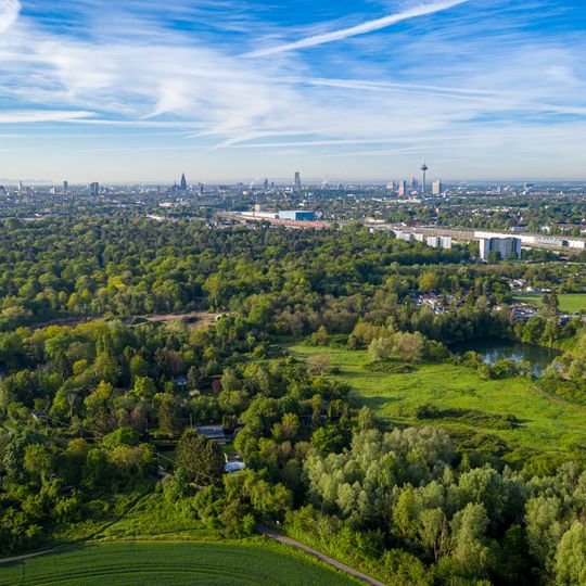 Nordfriedhof und Ginsterpfad-Gelände