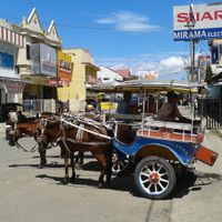 Gorontalo