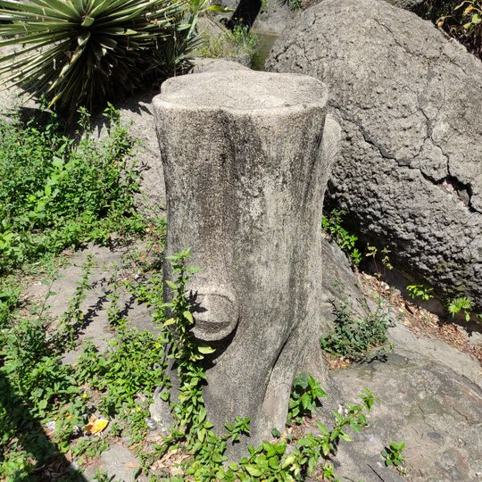 Bebedouro Tronco de Árvore do Campo de Santana