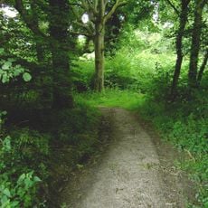 Clapham Wood