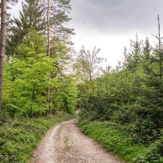 NSG Oestlicher Teutoburger Wald