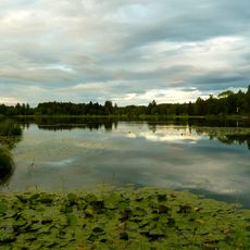 Inschutznahme des Soiener Sees und seiner Umgebung