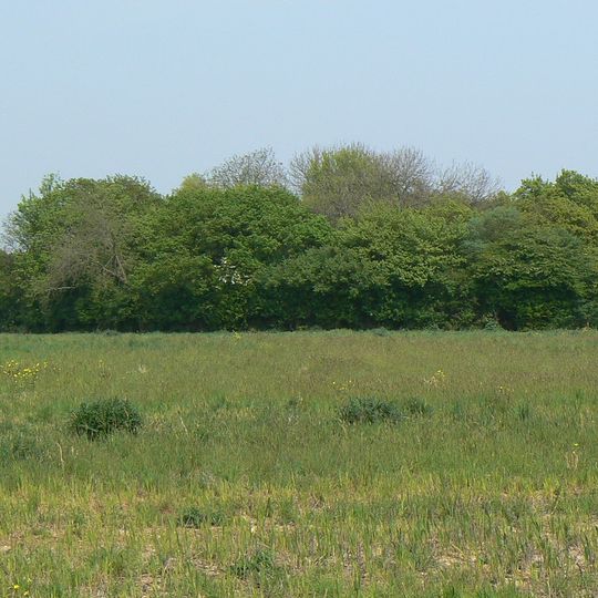 Great Ashfield Castle