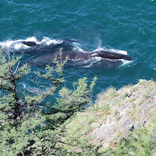 Parco nazionale dell'Isola di Chantar