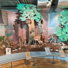 Lake Constance Nature Museum