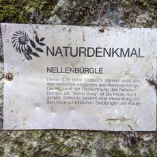 Nellenbürgle