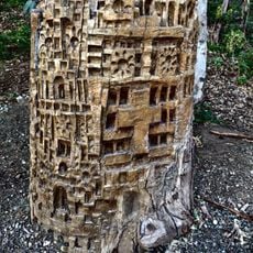 Tocón de eucalipto tallado a modo de escultura simulando un edificio o ciudad medieval abigarrada.