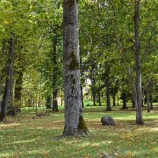 Kurtna mõisa park