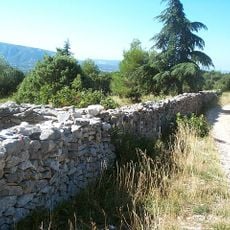 Mur de la peste