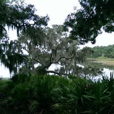 St. Catherines Island