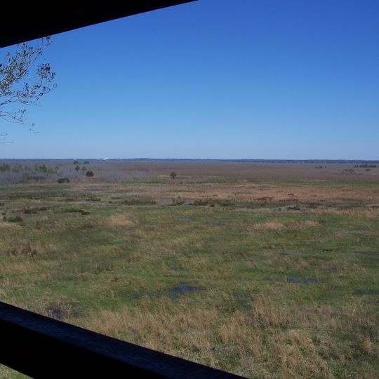 Paynes Prairie
