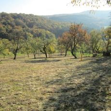 Franconian Heights