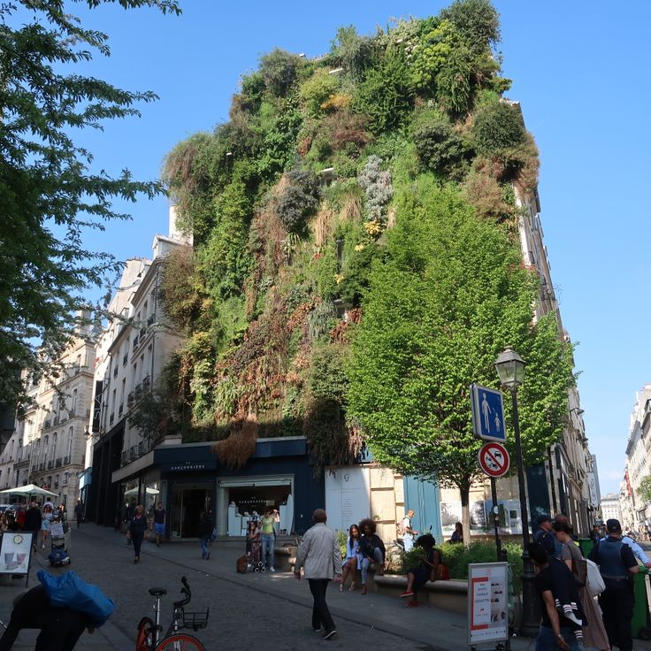 Oasis d'Aboukir