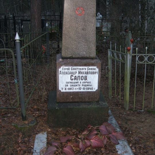 Могила А.М. Салова, Героя Советского Союза