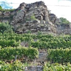 Krappenfelsen und Weinberg am Neckar