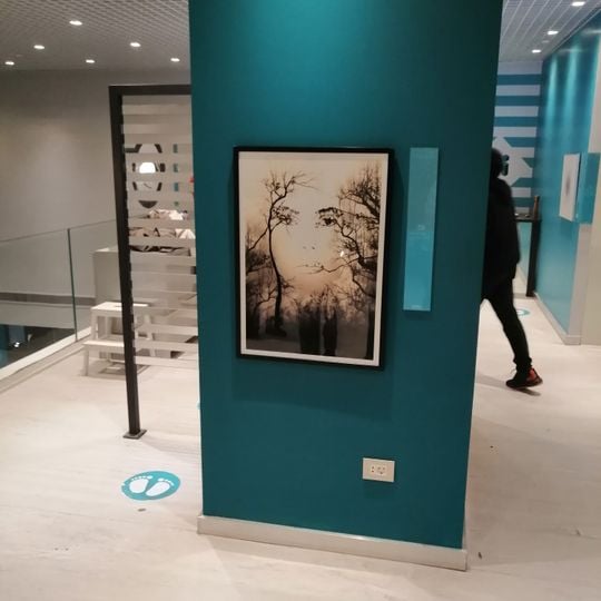 Museum of Illusions, Cairo