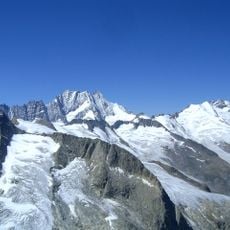 Ewigschneehorn