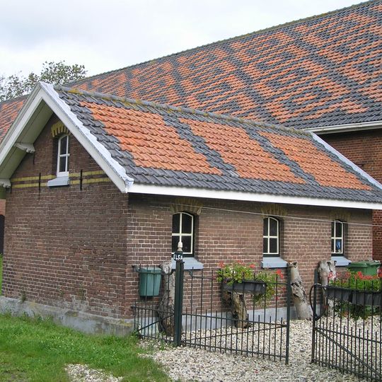 Elsa Hoeve: varkenshok