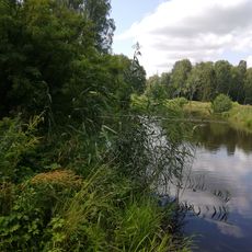 Lower Kruglozalny pond in Pavlovsk park
