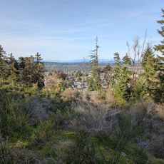 Rotary Lookout