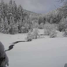 Alter Hagen bei Willingen