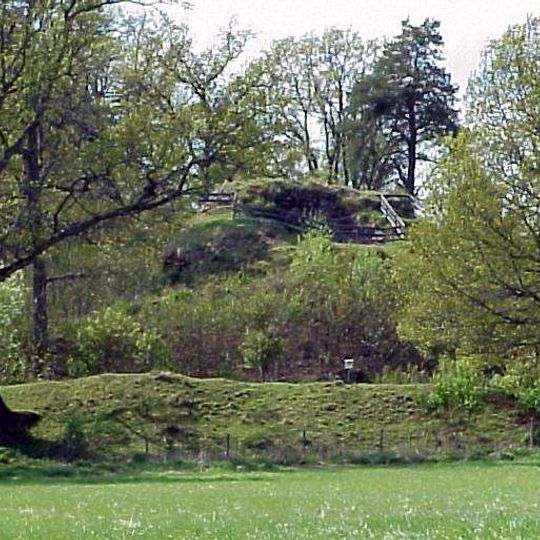 Svaneholms borgruin, Östergötland