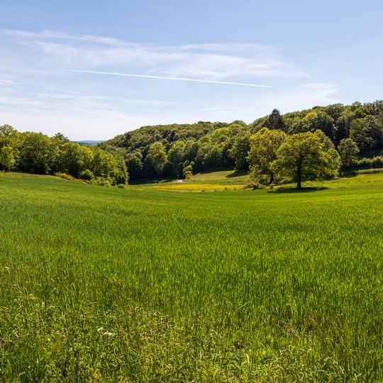 Naturschutzgebiet Kanzelstein bei Eibach