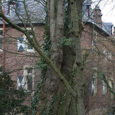 Hallenburg Disternich