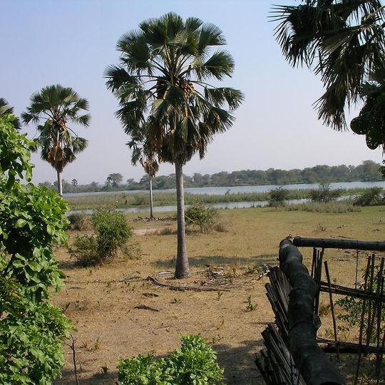 Parco nazionale del Liwonde