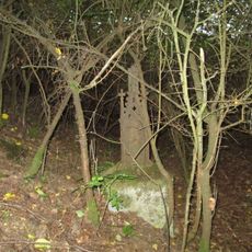 Kříž západně od Zhůřce