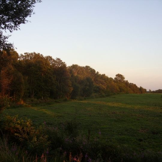 Rockenmoor / Fuchsberg