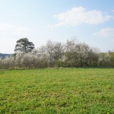 Halbtrockenrasen (mit 3 Linden) u. Linden-, Pappelallee