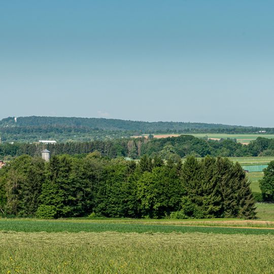 Kleingewässer mit Feldgehölz im Unteren Altgrötzinger Tal